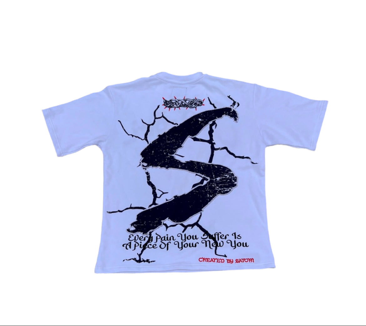 Satori Reach Enlightenment Oversized T-shirt
